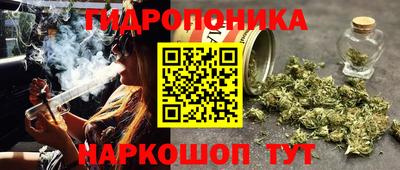 эйфоретик Усть-Джегута