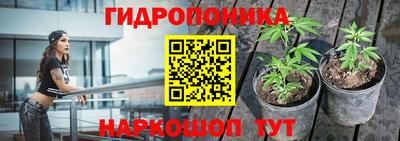 эйфоретик Усть-Джегута