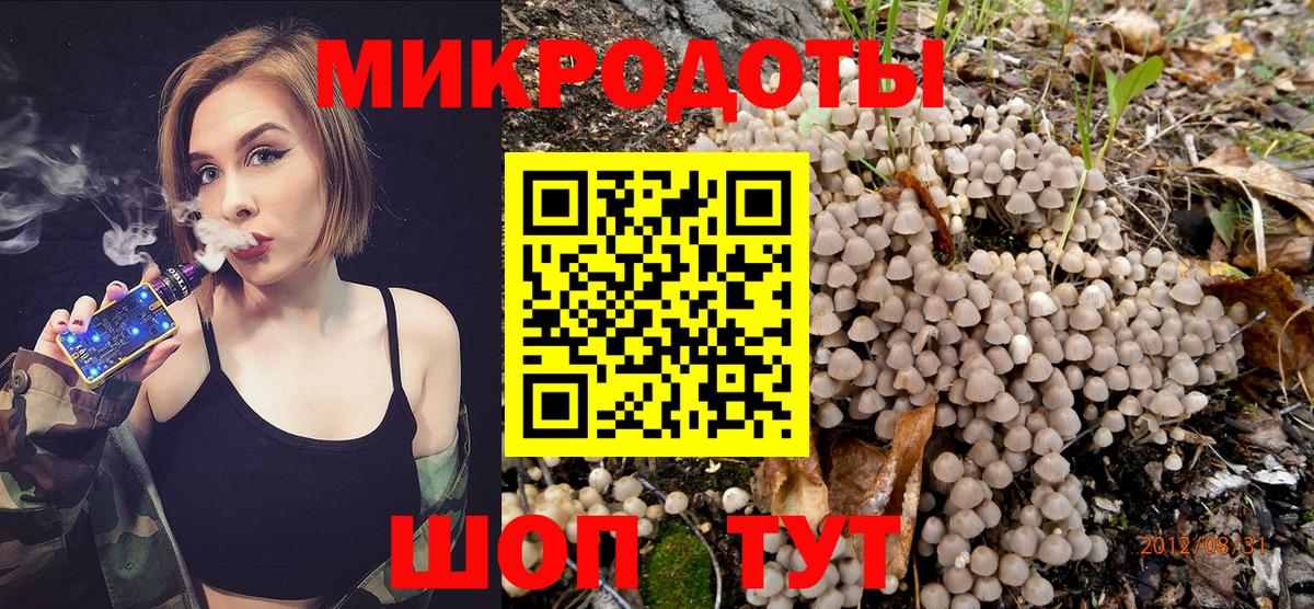 как найти закладки  Вход с VPN  Нижневартовск  Галлюциногенные грибы Psilocybe 